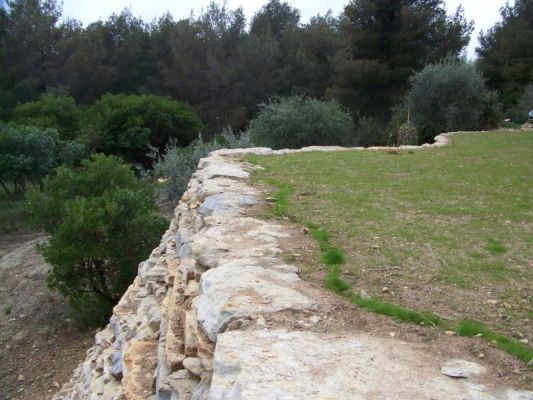 le gazon commence à poussé sur la restanque de pierres de la création sur saint cyr les lecques
